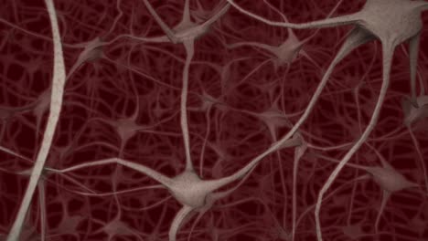 Neuronen-Gehirn-Geist-Axon-Gedanke-Neuronales-Netzwerk-Dendriten-Zelle-Gesundheit-Wissenschaft-4k